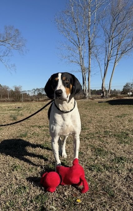 G p PGFW8AETUed?format=jpg.jpg