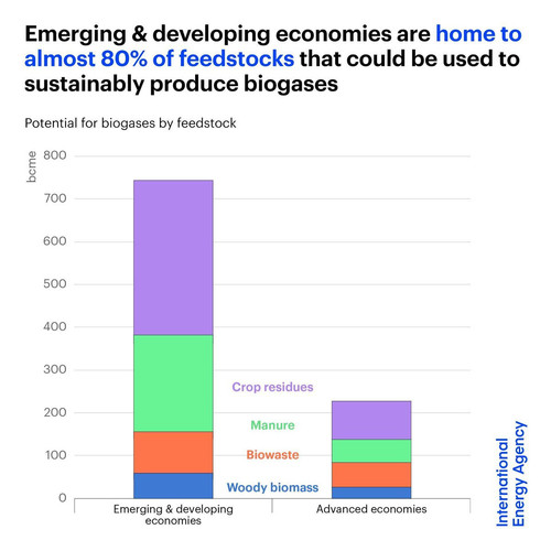 G ok 9RXAAAG Ot?format=jpg.jpg