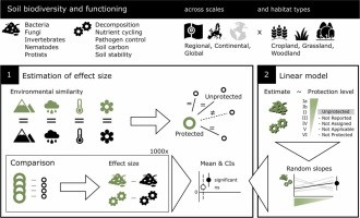 G nZdPVaYAA0CY0?format=jpg.jpg