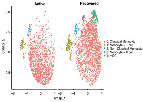 G oM7fuXUAA5K81?format=jpg.jpg