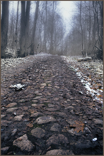 50629401706 054e386d2e b.jpg