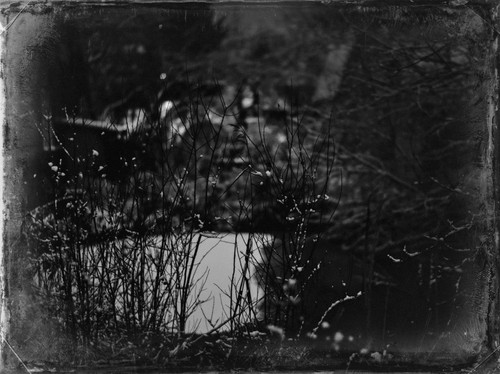 SDIM8891 01 Exposure.jpg