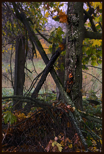 50473447291 1ef70388c6 b.jpg