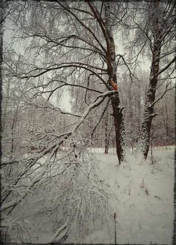 SDIM8714 Exposure.jpg