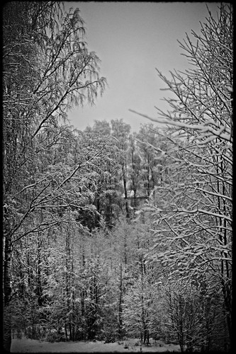 P1013548 Exposure.jpg