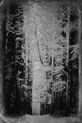 P1013531 Exposure.jpg