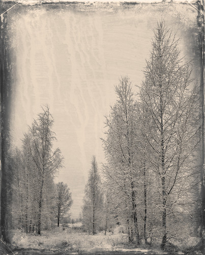 SDIM8718 Exposure.jpg