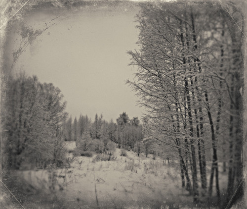 SDIM8722 Exposure.jpg