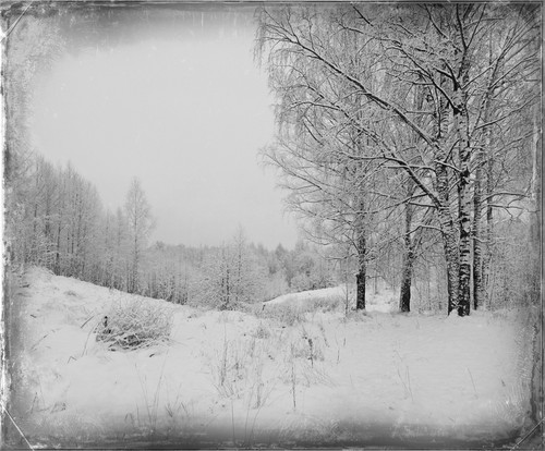 SDIM8728 01 Exposure.jpg