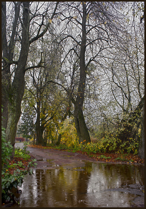 50472743548 097b747ed7 b.jpg