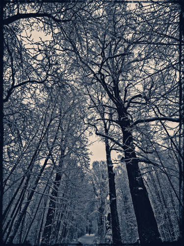 SDIM8702 Exposure.jpg