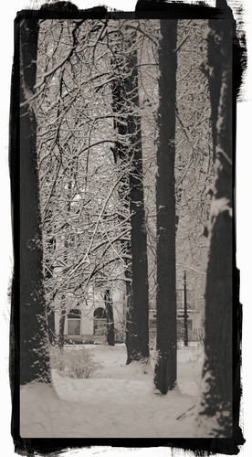 P1013577 Exposure.jpg