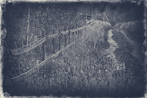 50513169432 3544deff00 b.jpg