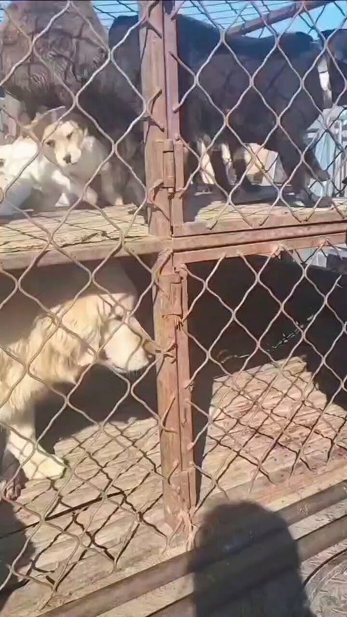 qociyNEAYkO AiZI.jpg