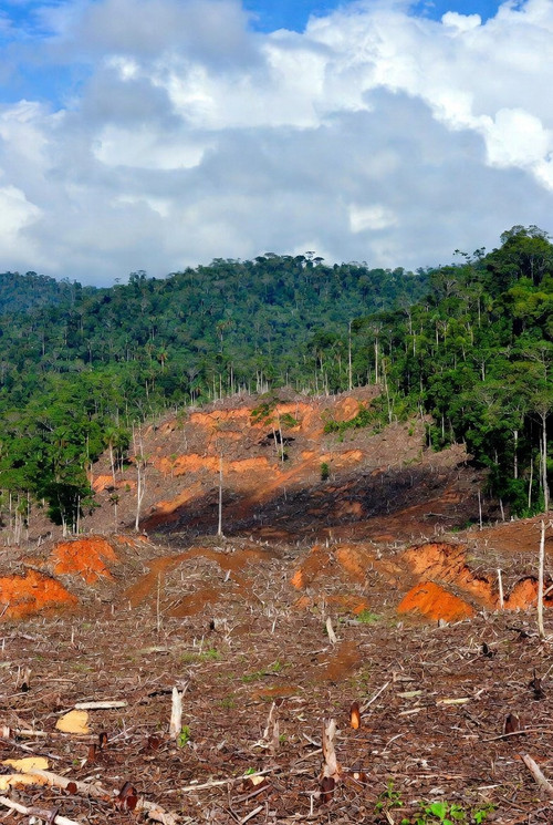 G o63NEW8AATGEK?format=jpg.jpg