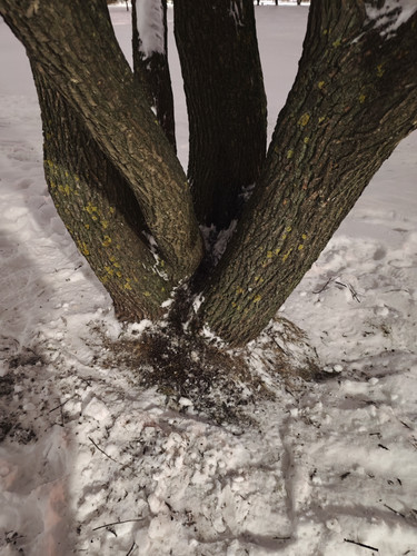 MVIMG 20260115 033441.jpg