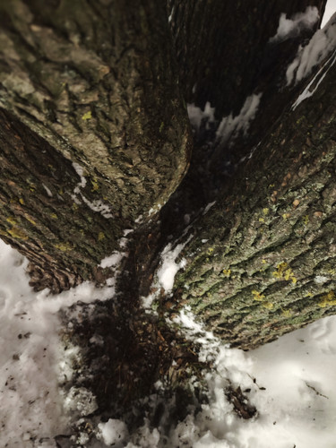 IMG 20260115 032006.jpg