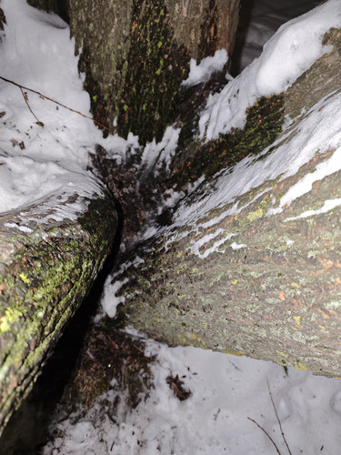 MVIMG 20260115 031929.jpg