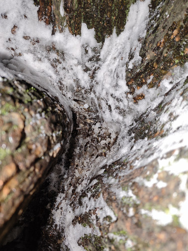 MVIMG 20260115 033106.jpg