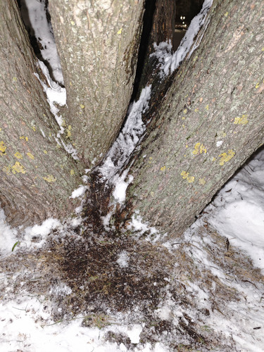 MVIMG 20260115 032815.jpg