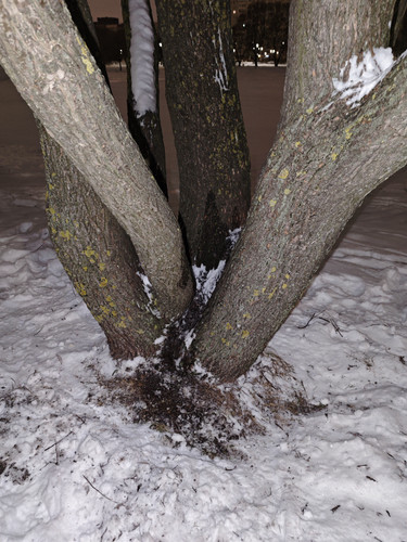 MVIMG 20260115 033450.jpg