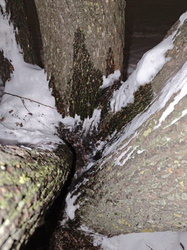 MVIMG 20260115 032036.jpg