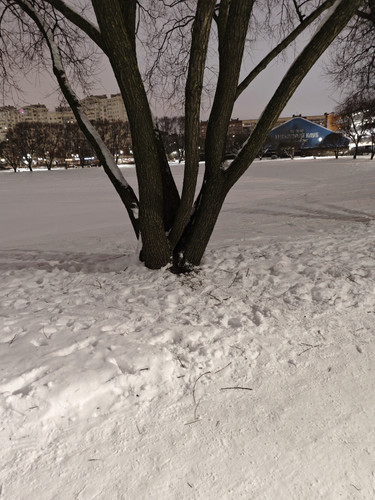 MVIMG 20260115 031950.jpg