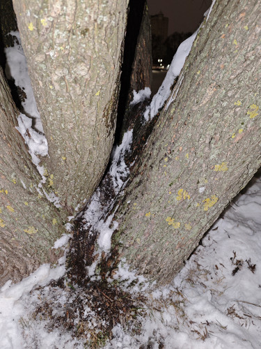 MVIMG 20260115 032410.jpg