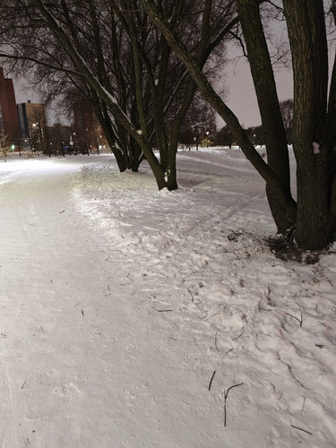 MVIMG 20260115 033352.jpg