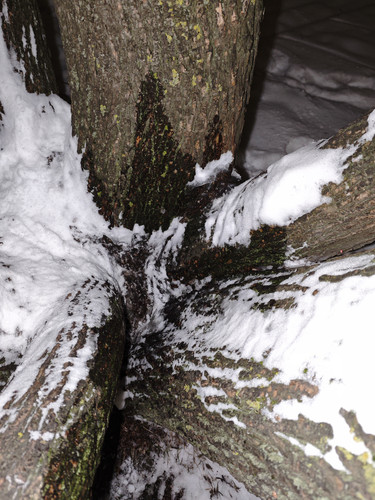 MVIMG 20260115 032417.jpg