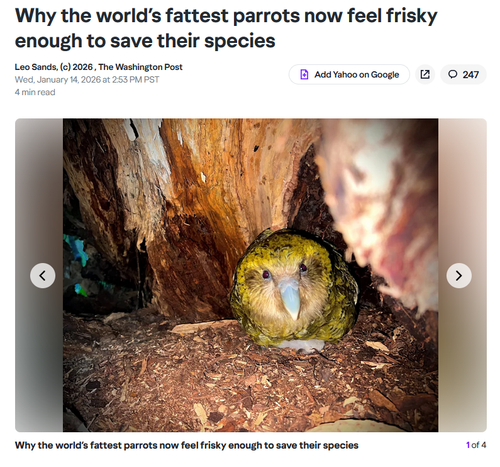 firefox Hq52Uudy4T.png