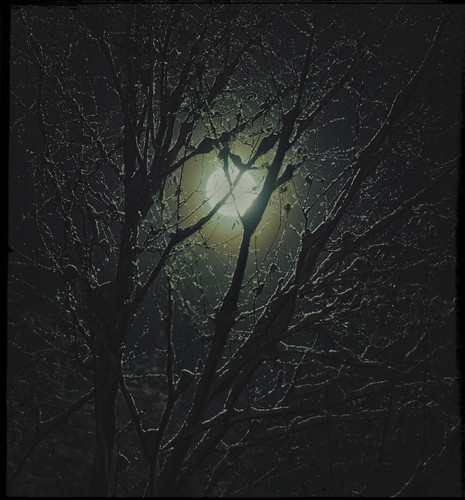 P1014387 01 Exposure.jpg