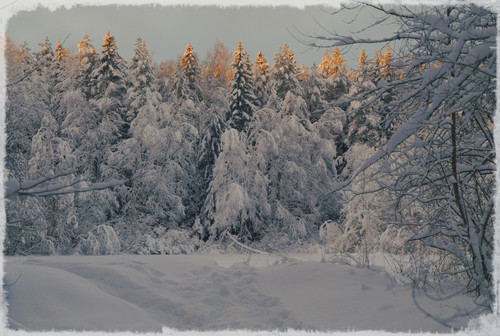 P1014355 Exposure.jpg