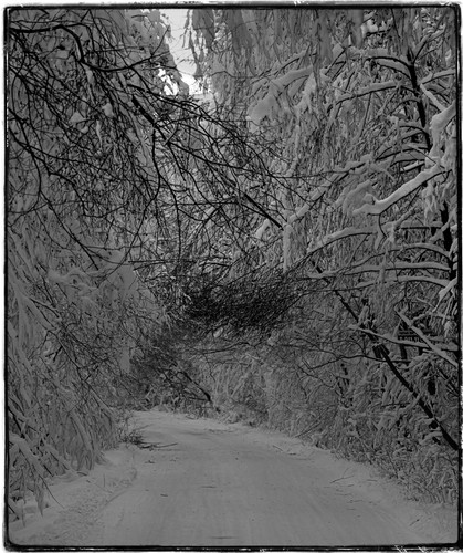 P1014346 Exposure.jpg