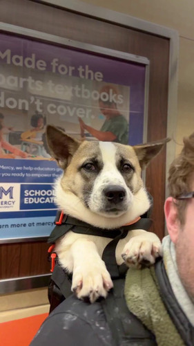 oHWnUxfxXZfG ZPW.jpg