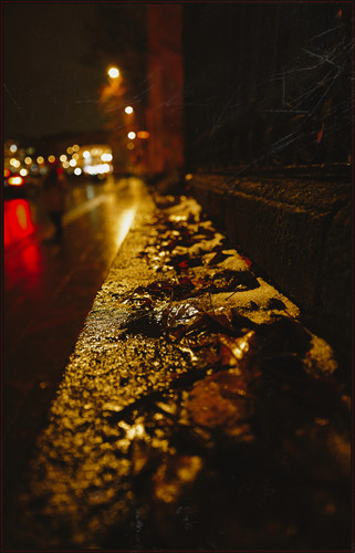 SDIM8678 ExposureSDIM8678.jpg