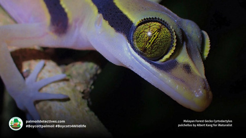 JfPfWaskCvIzZ 9e.jpg