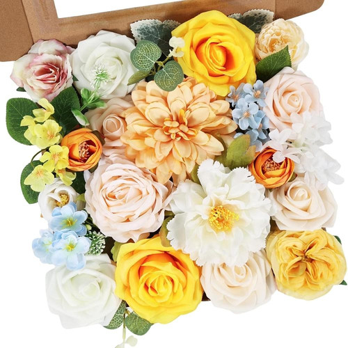 81wL+a16pvL. AC SL1500 (1).jpg