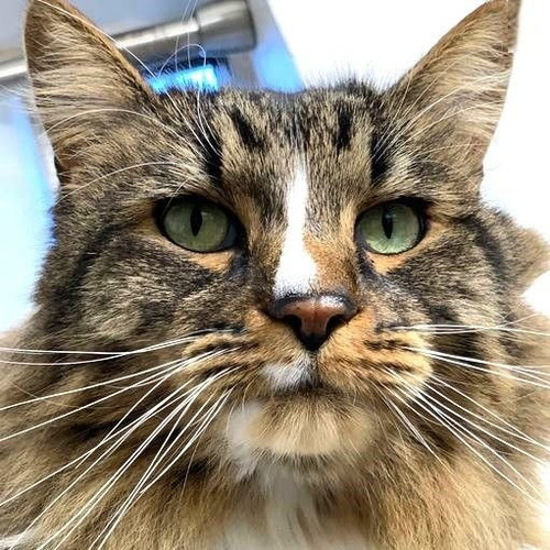 G pr6znbQAAO4lS?format=jpg.jpg