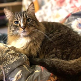 G przGVbAAASfgH?format=png.png