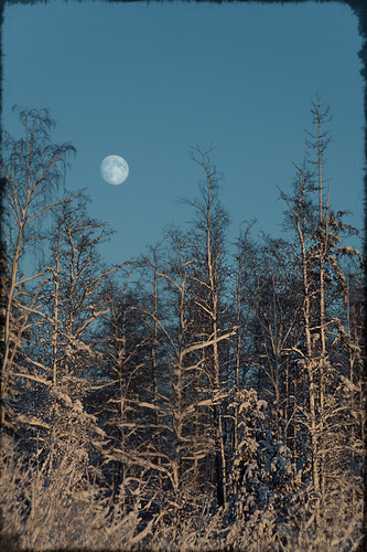 P1014326 Exposure.jpg