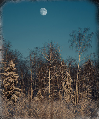 P1014320 Exposure.jpg