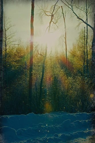 P1014286 Exposure.jpg