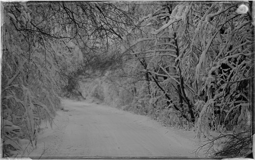 P1014341 Exposure.jpg