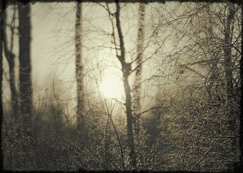 P1014271 Exposure.jpg