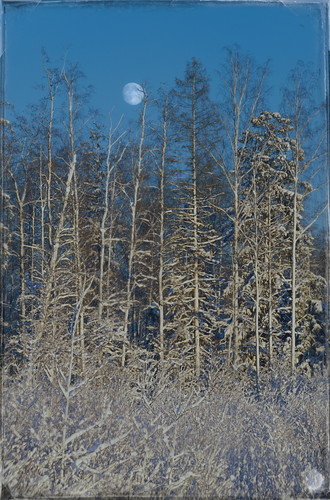 P1014312 Exposure.jpg