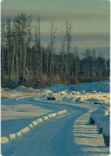 P1014310 Exposure.jpg