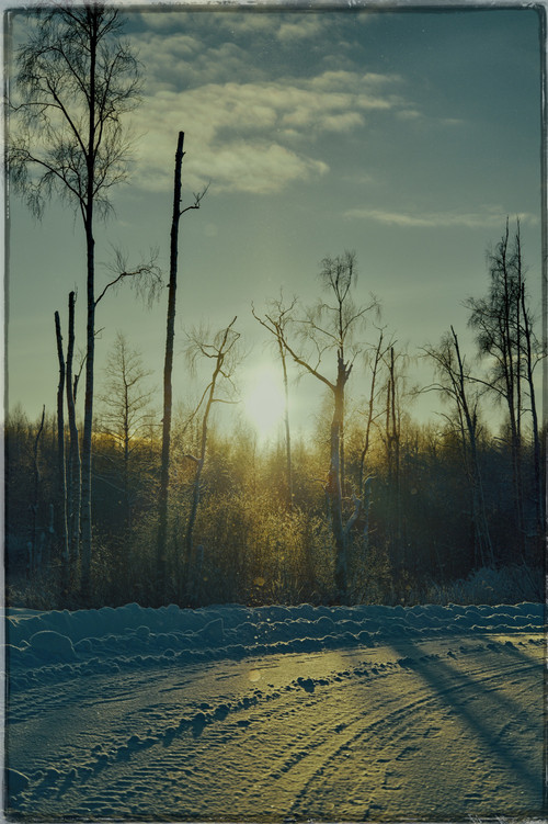 P1014282 Exposure.jpg