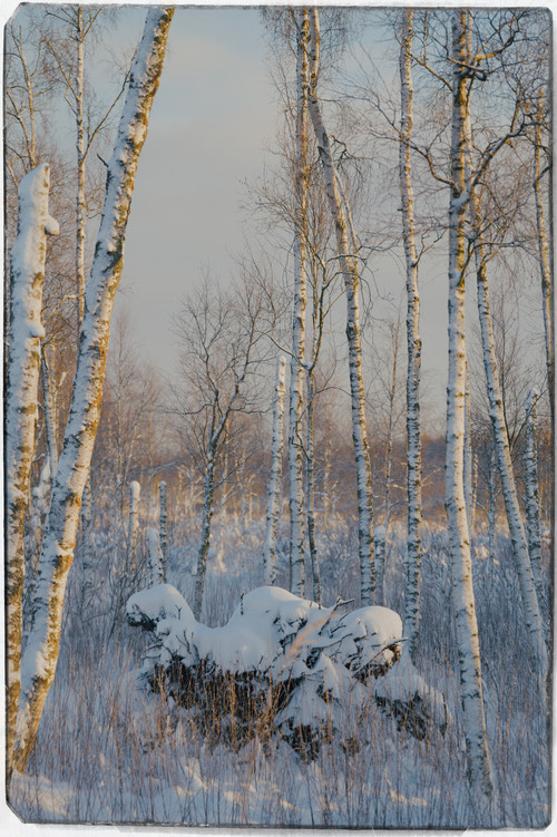 P1014276 Exposure.jpg