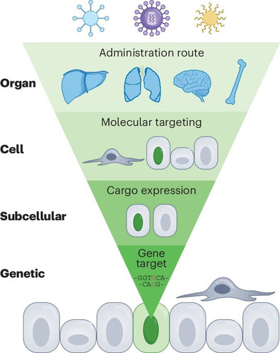 G jWc qWAAAmlm4?format=jpg.jpg